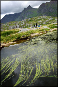 Lofoten%2003